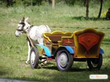 Добродушный ослик не оставит равнодушными ваших детей. (Святогорск)