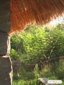  (Киев и область)