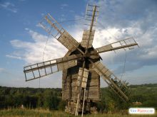 Настоящая красавица. И их на центральной поляне с дюжину