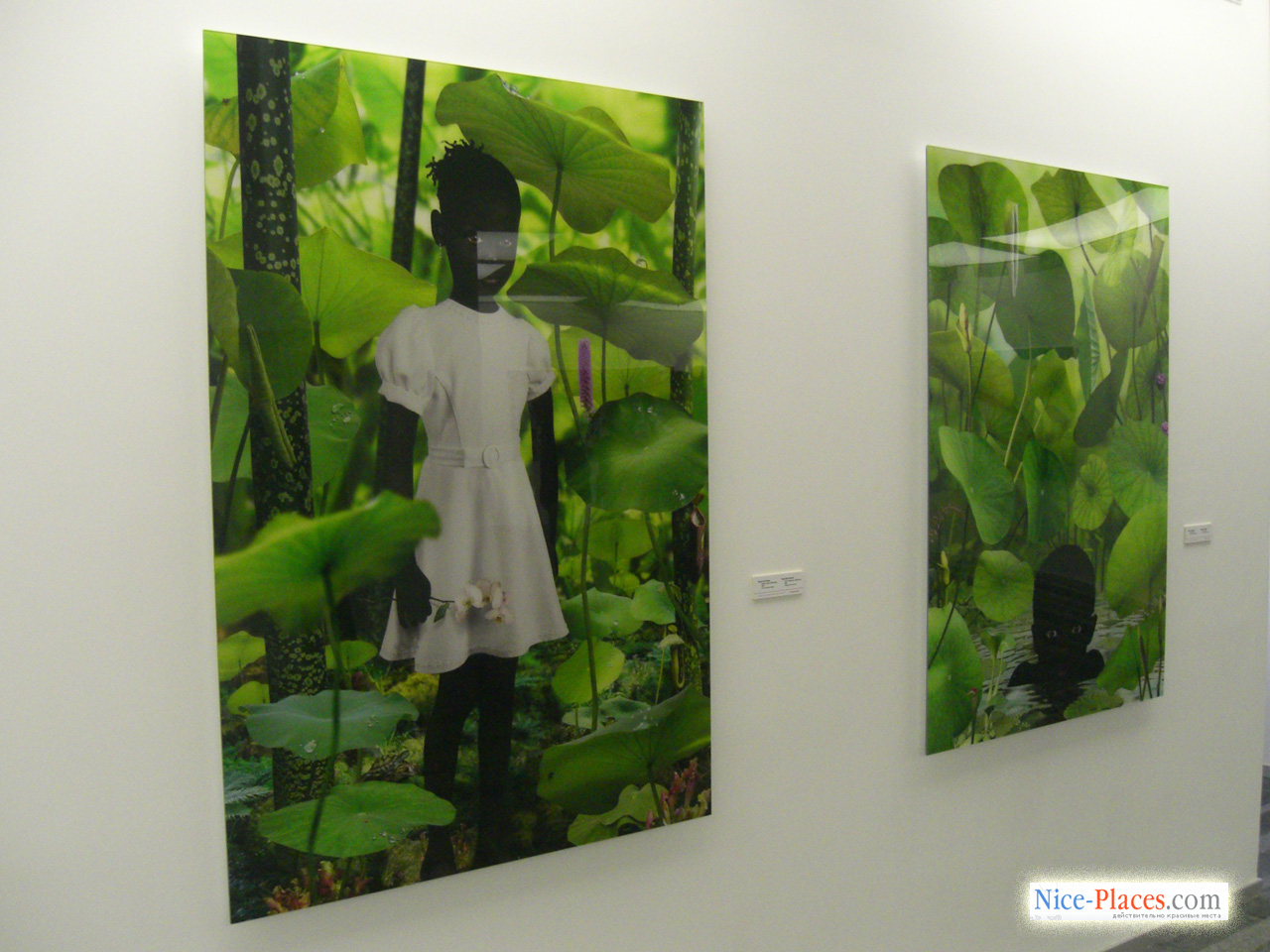 Фото достопримечательностей Киева и Киевской области: Наверное, самые яркие фотографии-картины под плексиглазом. Своеобразная "визитная карточка" галереи