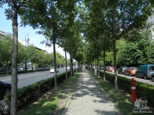 Зеленая зона проспекта Андрашши (Будапешт)