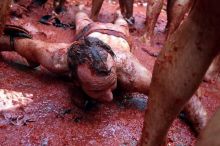 Помидорное побоище (Испания)