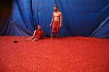 К концу праздника помидоров на улице может быть по колено (Испания)