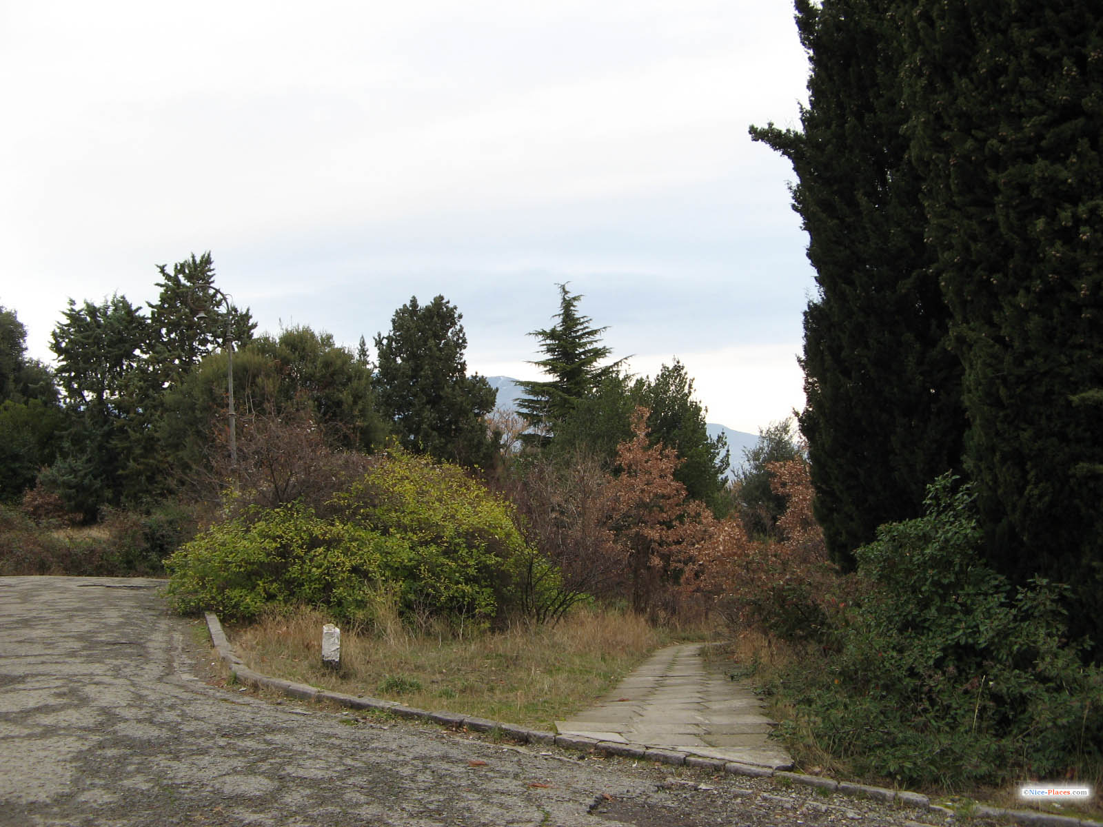 Фото достопримечательностей Крыма и ЮБК: Парк Ливадийского дворца