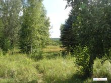 Противоположный берег Донца - луга и леса (Святогорск)