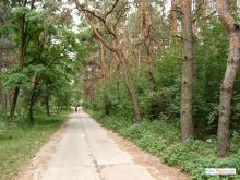 Парк Славянского курорта