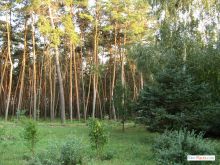  (Донецк и область)