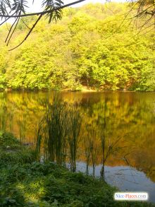  (Киев и область)