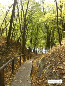  (Киев и область)