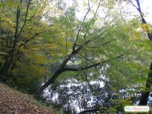  (Киев и область)