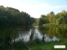  (Киев и область)