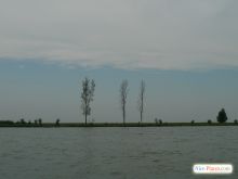 Дунай? моря? всего понемногу (Одесса и область)