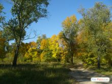  (Киев и область)