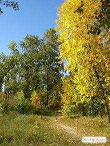  (Киев и область)