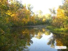  (Киев и область)