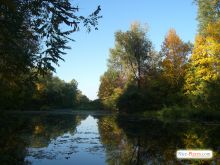  (Киев и область)