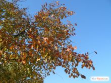  (Киев и область)