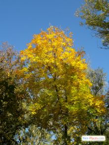  (Киев и область)