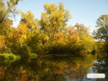  (Киев и область)