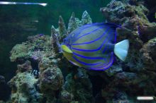  (Одесса и область)