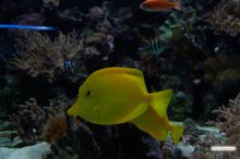  (Одесса и область)