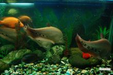  (Одесса и область)