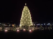 Главная ёлка Вашингтона (Разное)