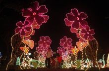 Праздничные огни в колумбийском городе Кали (Разное)