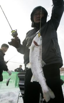  (Южная Корея)