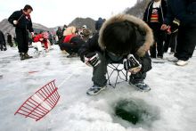 На смену корейской морковке скоро в Украину прийдут новые корейские удочки (Южная Корея)