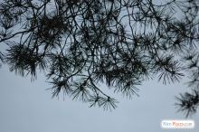 За всю зиму дней, когда было голубое небо было столь мало, что можно пересчитать на пальцах одной руки. Эх, Киев... (Киев и область)