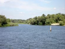 Плавни Хортицы (Запорожская область)