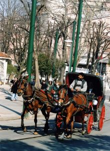 Субботнее утро в квартале Султанахмет (Турция)