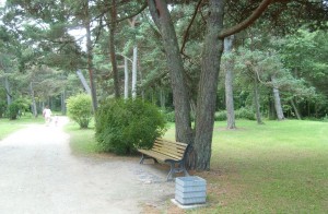 Ботанический лесопарк в Паланге (Прибалтика)