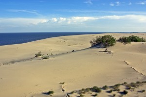 Типичный пейзаж Куршской косы (Прибалтика)