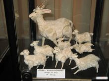 Сказка "Волк и семеро козлят". Но волка видимо съели козлята :) (Киев и область)