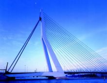 Erasmus bridge. Мост-лебедь.