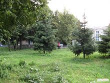 Переяслав-Хмельницкий.
В городском парке (Переяслав-Хмельницкий)