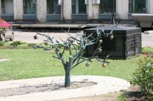 Чудо-яблонька (Донецк и область)