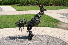 Петушок золотой гребешок (Донецк и область)