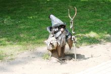 Старичок-лисовичок (Донецк и область)