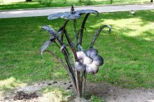 Дюймовочка на цветке (Донецк и область)