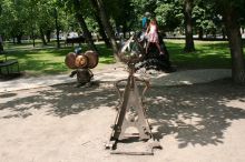 Кот (Донецк и область)