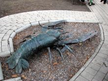 Знаки зодиака. Рак (Донецк и область)