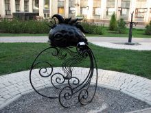 Золотая рыбка из сказки (Донецк и область)