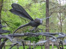 Стрекоза с вершины одной из беседок (Донецк и область)