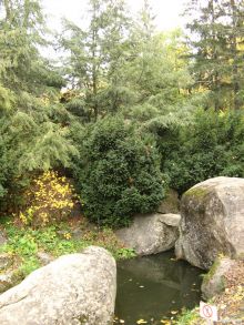 Озерцо среди камней (Умань)