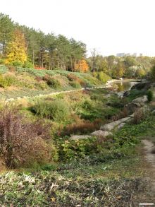 Грековая балка (Умань)