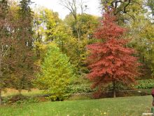 Осенняя пора - очей очарованье... (Умань)