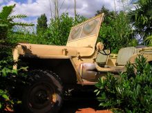 Аттракцион Indiana Jones and the Temple of Peril (Франция)